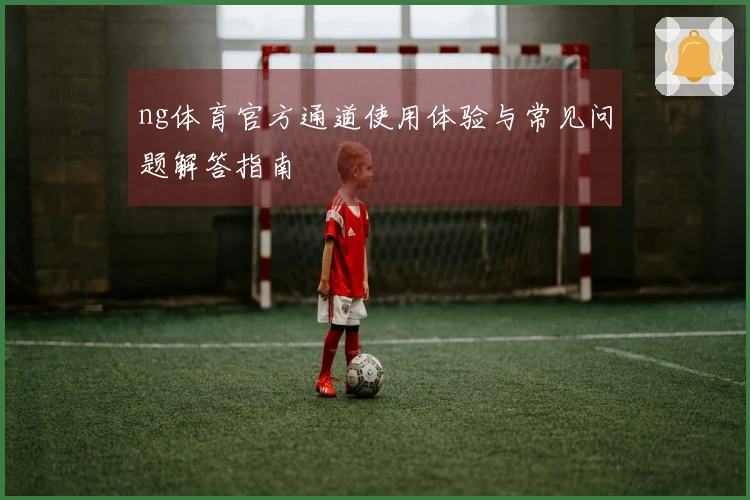 ng体育官方通道使用体验与常见问题解答指南
