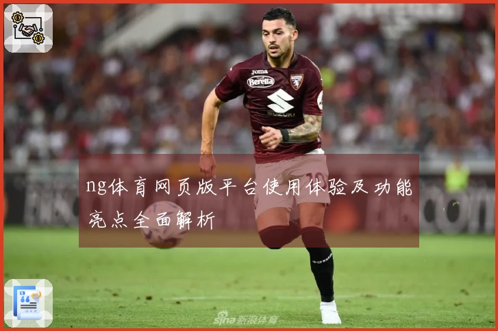 ng体育网页版平台使用体验及功能亮点全面解析