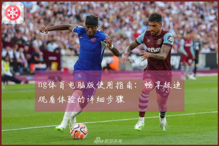 ng体育电脑版使用指南：畅享极速观看体验的详细步骤