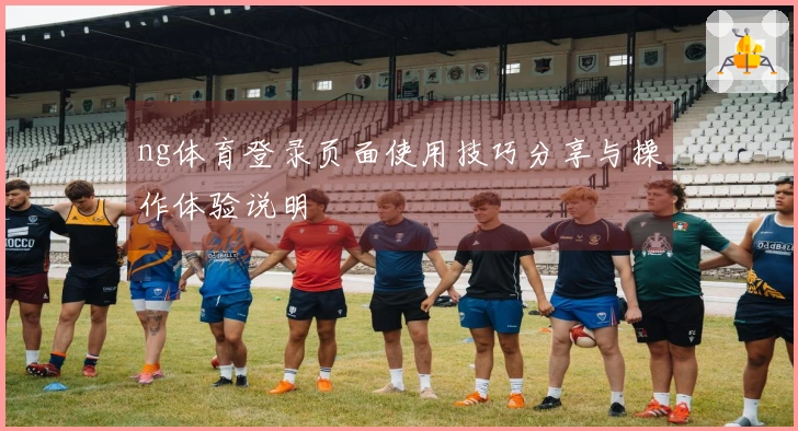 ng体育登录页面使用技巧分享与操作体验说明