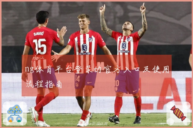 ng体育平台登录的官方入口及使用流程指南