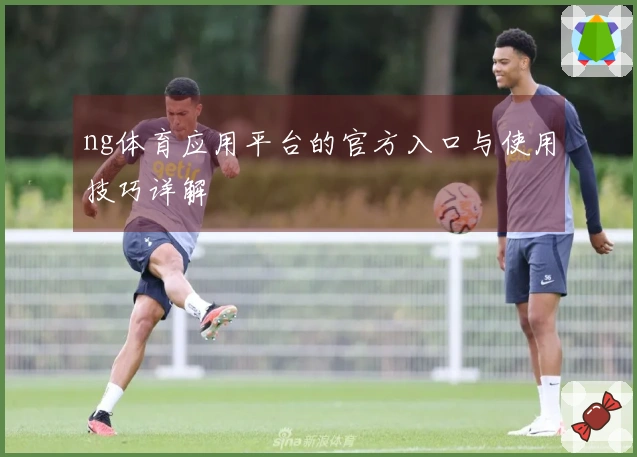ng体育应用平台的官方入口与使用技巧详解