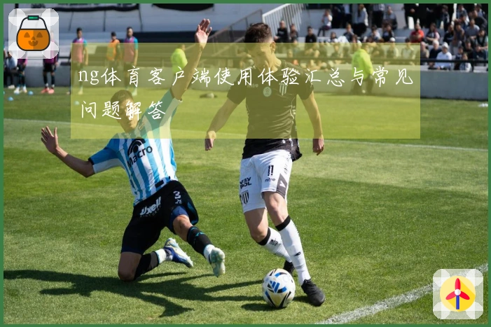 ng体育客户端使用体验汇总与常见问题解答