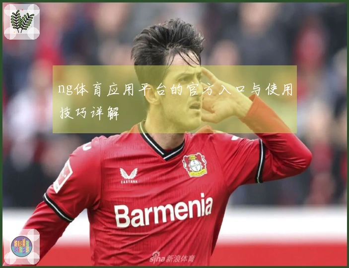 ng体育应用平台的官方入口与使用技巧详解