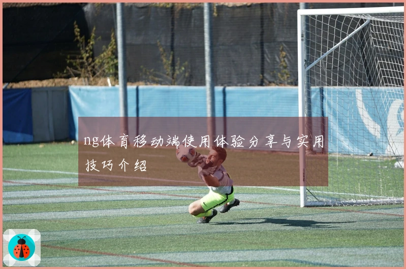 ng体育移动端使用体验分享与实用技巧介绍