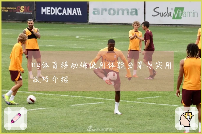 ng体育移动端使用体验分享与实用技巧介绍